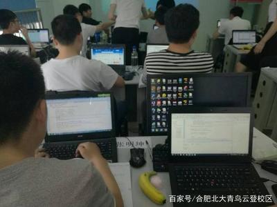 汽車維修與計(jì)算機(jī)軟件開發(fā) 哪個(gè)職業(yè)前景更廣闊？